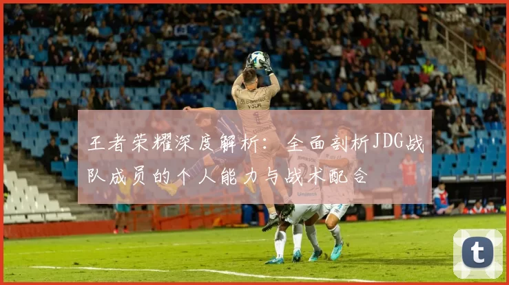 王者荣耀深度解析:全面剖析JDG战队成员的个人能力与战术配合
