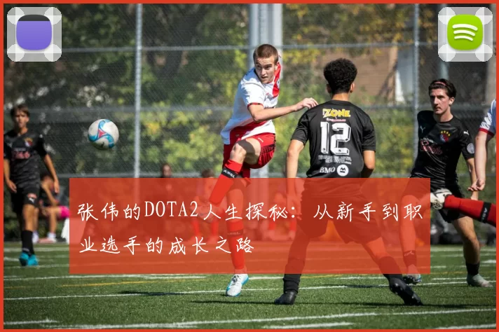 张伟的DOTA2人生探秘:从新手到职业选手的成长之路