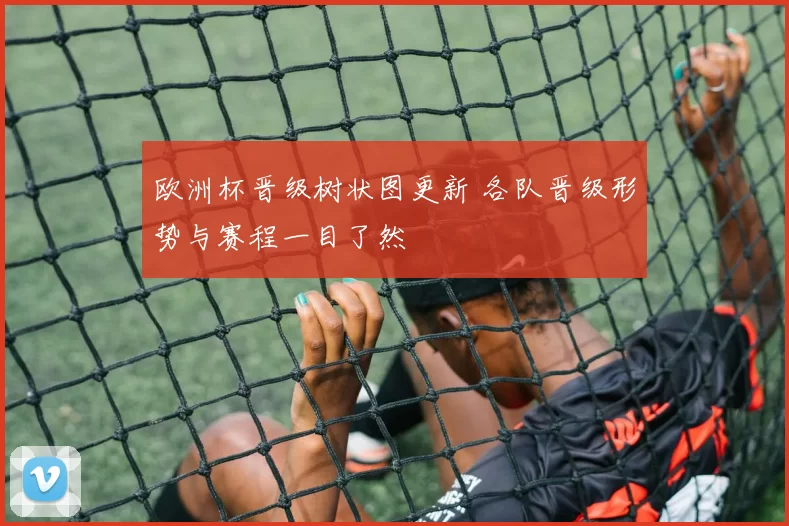 欧洲杯晋级树状图更新 各队晋级形势与赛程一目了然