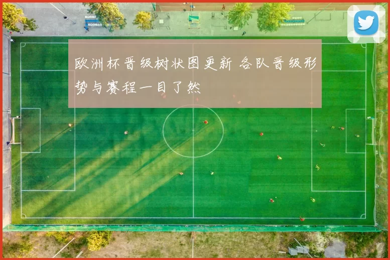 欧洲杯晋级树状图更新 各队晋级形势与赛程一目了然