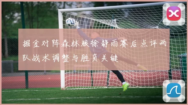 掘金对阵森林狼徐静雨赛后点评两队战术调整与胜负关键