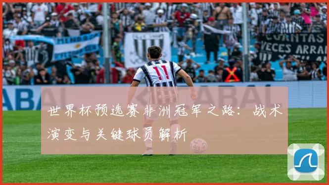 世界杯预选赛非洲冠军之路:战术演变与关键球员解析