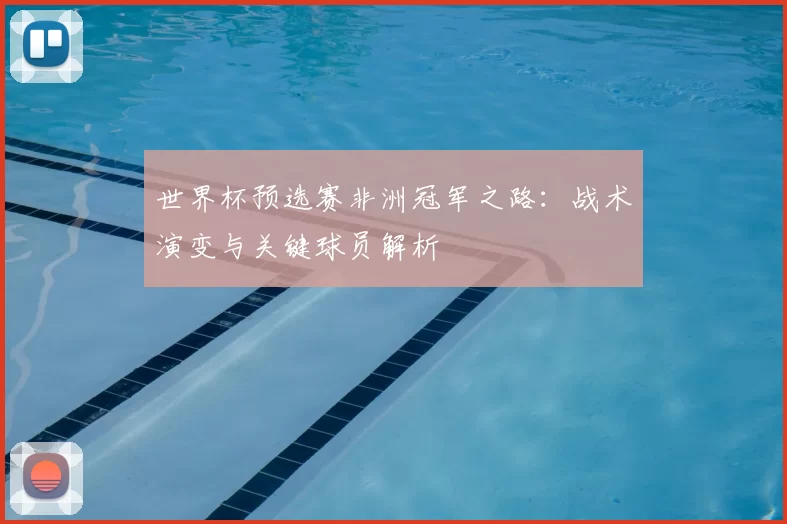 世界杯预选赛非洲冠军之路:战术演变与关键球员解析