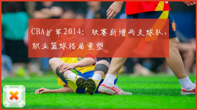 CBA扩军2014:联赛新增两支球队,职业篮球格局重塑