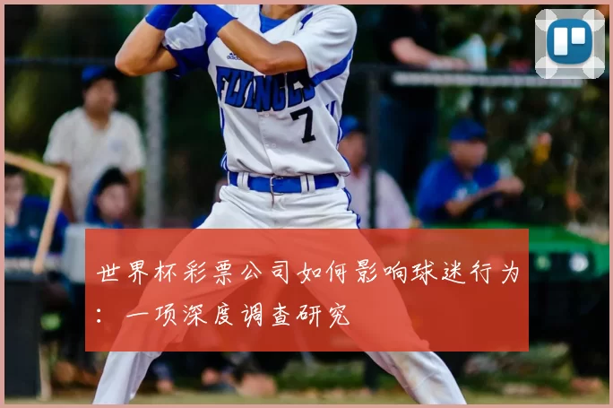 世界杯彩票公司如何影响球迷行为：一项深度调查研究