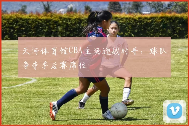 天河体育馆CBA主场迎战对手,球队争夺季后赛席位