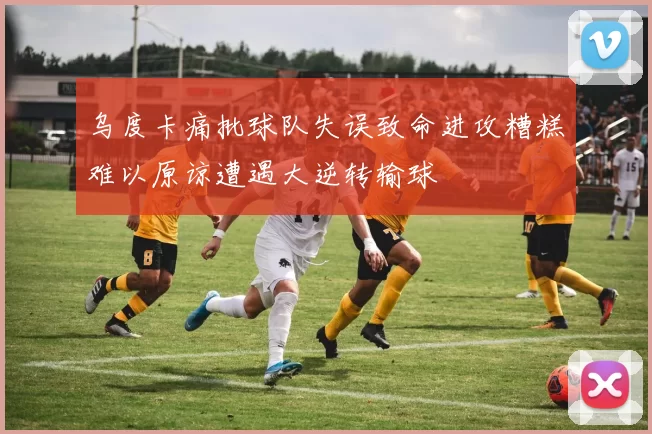乌度卡痛批球队失误致命进攻糟糕难以原谅遭遇大逆转输球